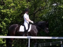 img-00061-518